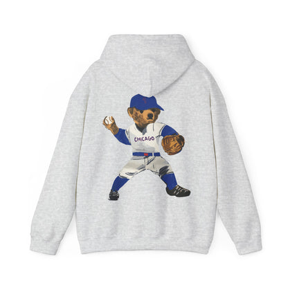 CHICAGO BASEBALL TEDDY HOODIE