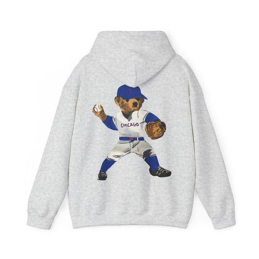 CHICAGO BASEBALL TEDDY HOODIE