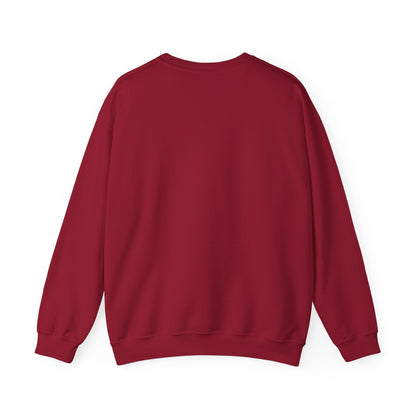 NORMAN, OKLAHOMA TEDDY SWEATSHIRT