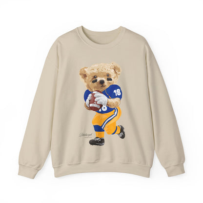 PITTSBURGH, PENNSYLVANIA TEDDY SWEATSHIRT