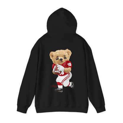 MADISON WISCONSIN TEDDY HOODIE