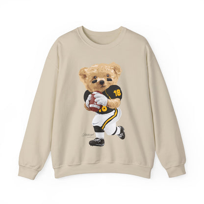 PITTSBURGH PENNSYLVANIA TEDDY SWEATSHIRT