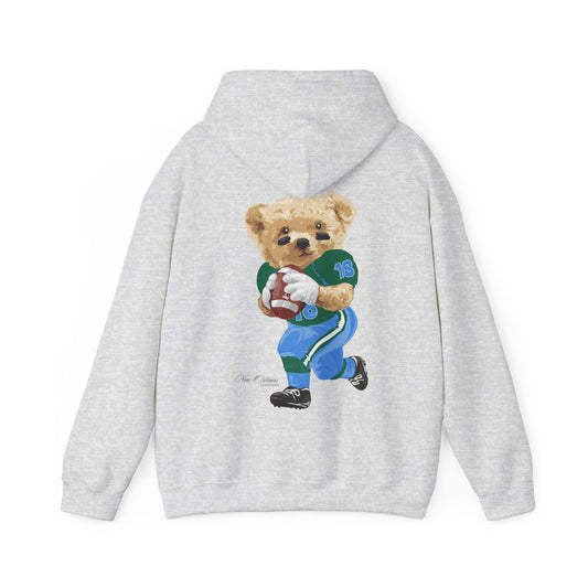 NEW ORLEANS, LOUISIANA TEDDY HOODIE