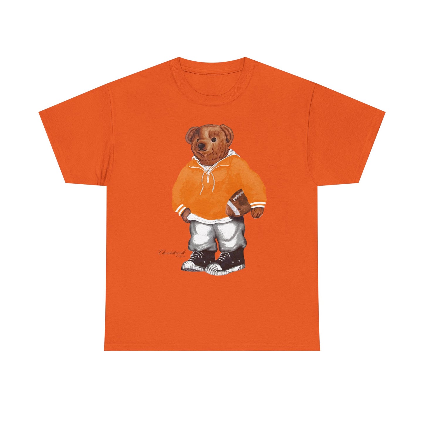 CHARLOTTESVILLE, VIRGINIA T-SHIRT