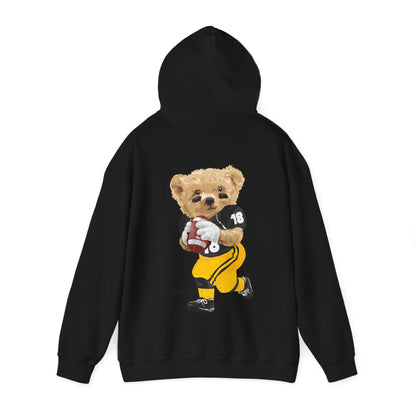 IOWA TEDDY HOODIE
