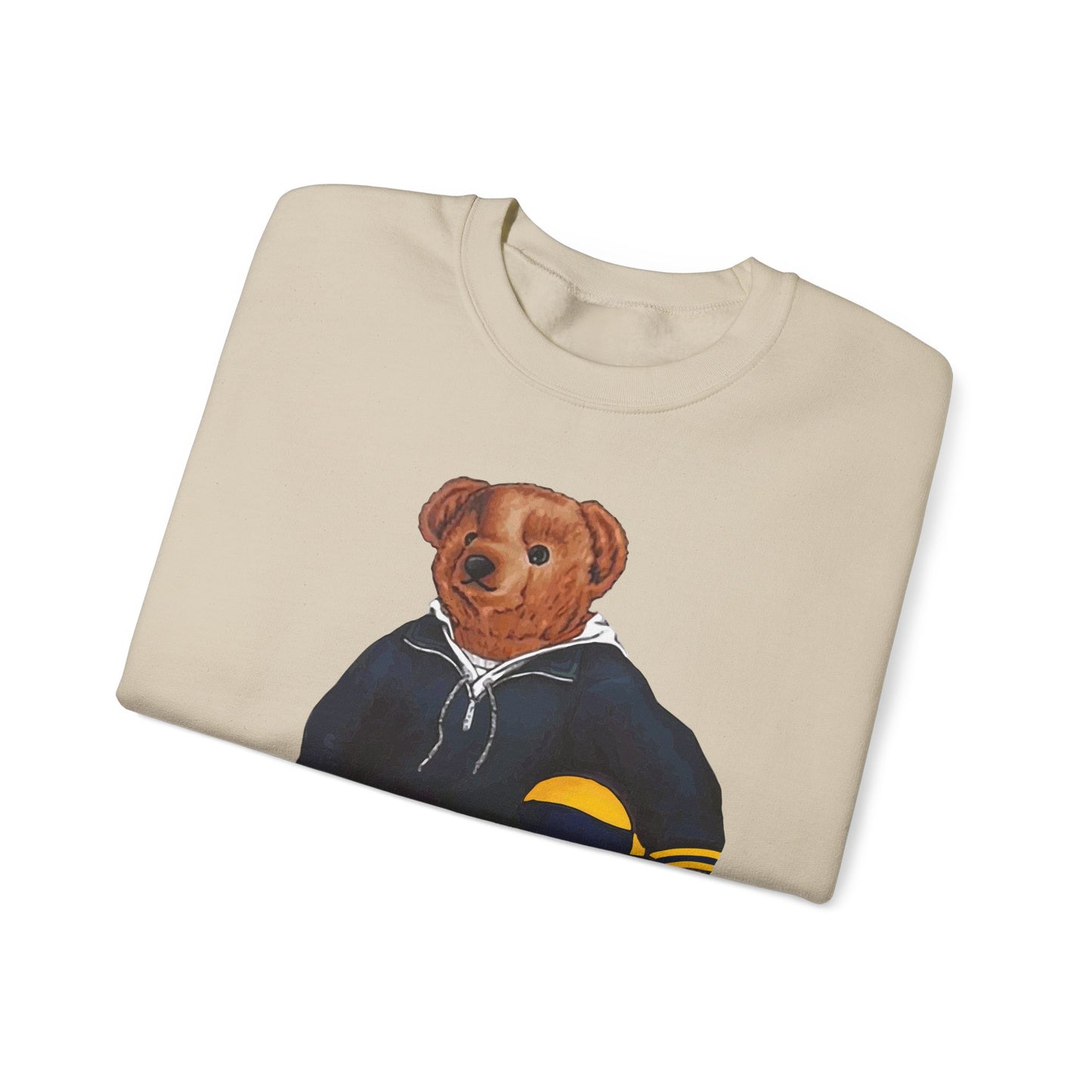 ANN ARBOR BASKETBALL TEDDY SWEATSHIRT