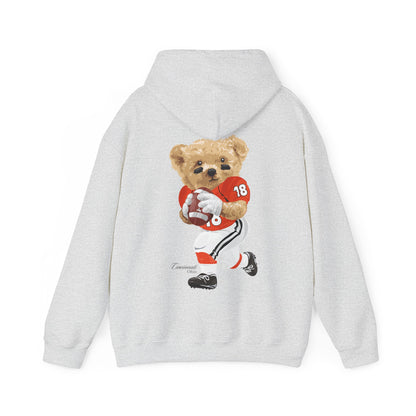 CINCINNATI OHIO TEDDY HOODIE