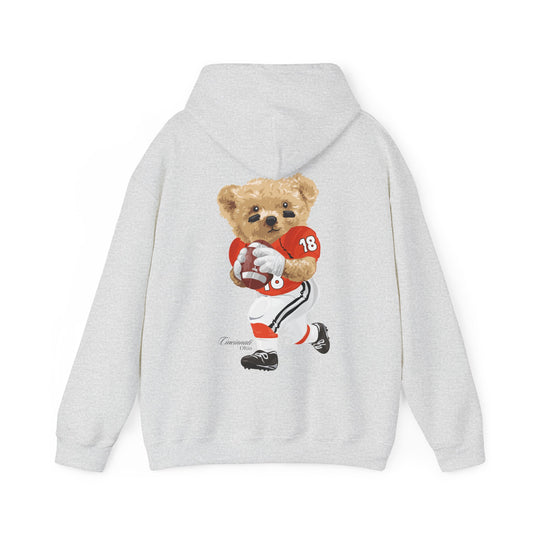 CINCINNATI OHIO TEDDY HOODIE