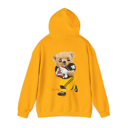 IOWA TEDDY HOODIE