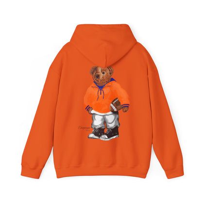 CHAMPAIGN, ILLINOIS TEDDY HOODIE