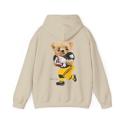 IOWA TEDDY HOODIE