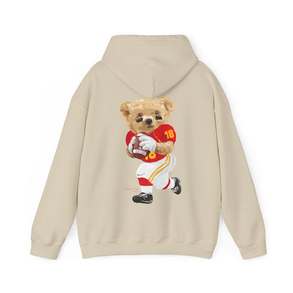 KANSAS CITY MISSOURI TEDDY HOODIE