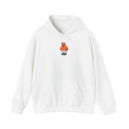 CHAMPAIGN, ILLINOIS TEDDY HOODIE