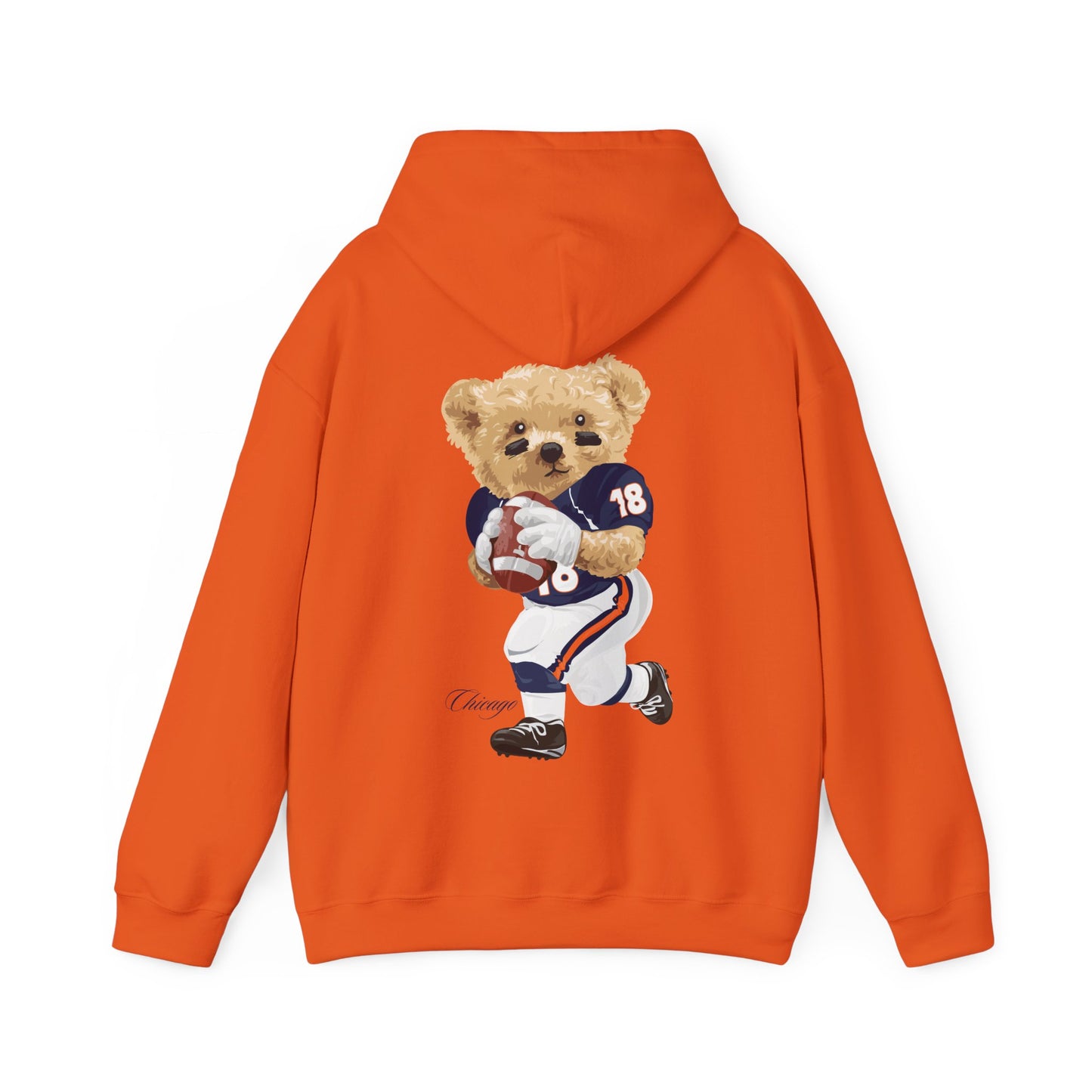 CHICAGO TEDDY HOODIE