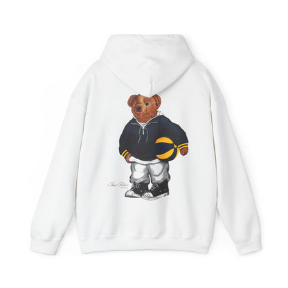 ANN ARBOR BASKETBALL  TEDDY HOODIE