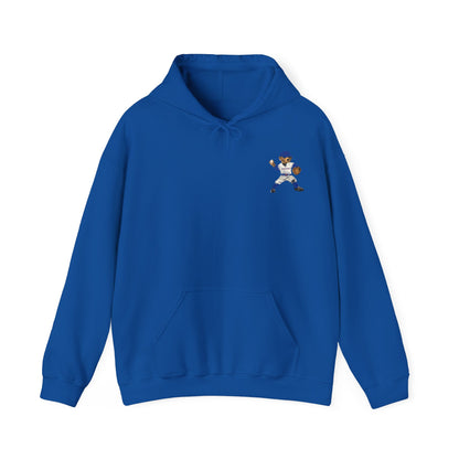 CHICAGO BASEBALL TEDDY HOODIE