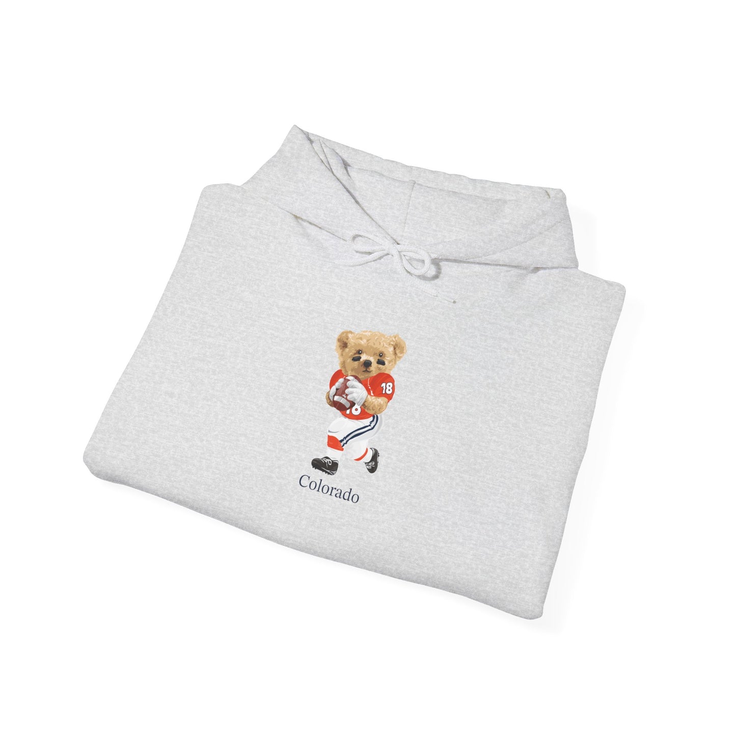 DENVER COLORADO TEDDY HOODIE