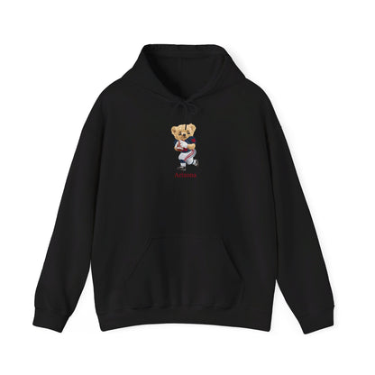 TUCSON ARIZONA TEDDY HOODIE