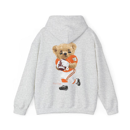 CORAL GABLES, FLORIDA TEDDY HOODIE