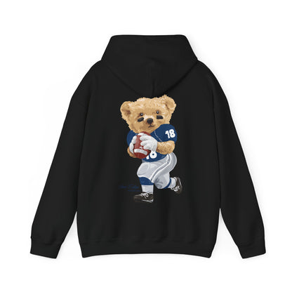 STATE COLLEGE PENNSYLVANIA TEDDY HOODIE