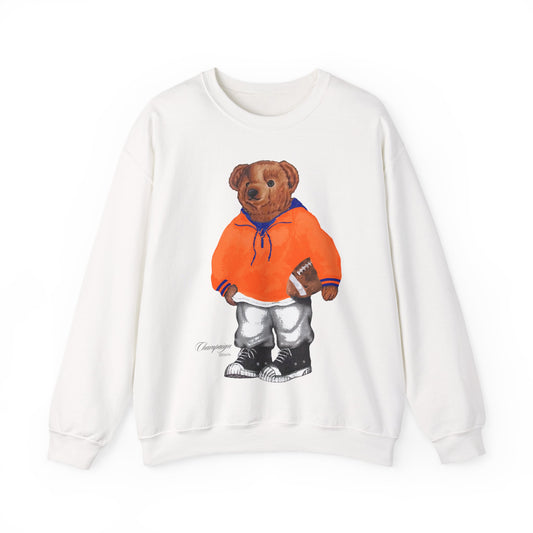 CHAMPAIGN, ILLINOIS TEDDY SWEATSHIRT