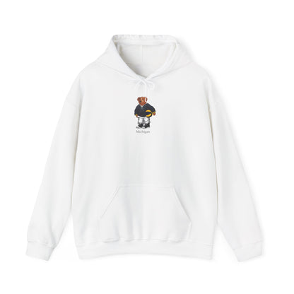 ANN ARBOR BASKETBALL  TEDDY HOODIE