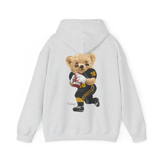 ORLANDO FLORIDA TEDDY HOODIE