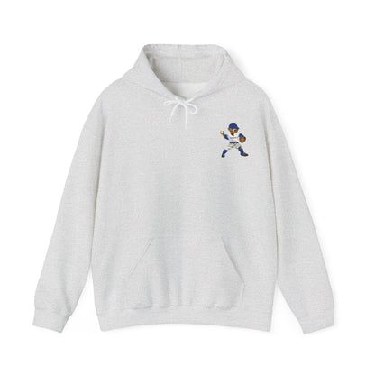 CHICAGO BASEBALL TEDDY HOODIE