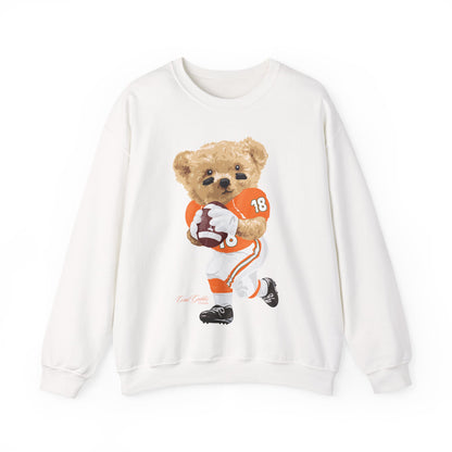 CORAL GABLES, FLORIDA TEDDY SWEATSHIRT