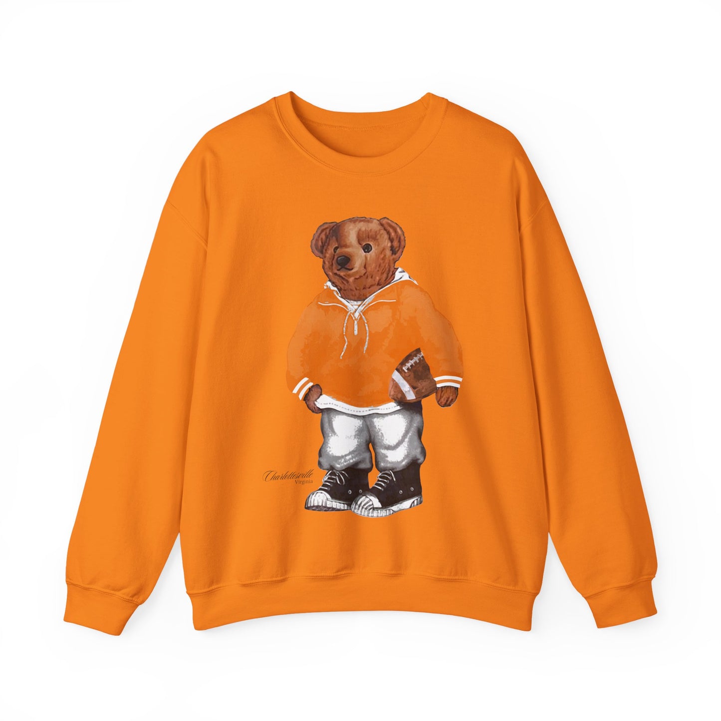 CHARLOTTESVILLE, VIRGINIA SWEATSHIRT