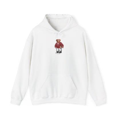 NORMAN, OKLAHOMA TEDDY HOODIE