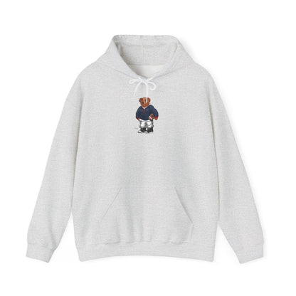 TUCSON ARIZONA TEDDY HOODIE