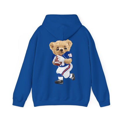 BUFFALO NEW YORK TEDDY HOODIE