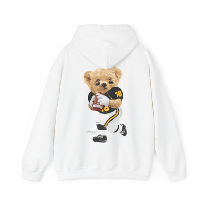 PITTSBURGH PENNSYLVANIA TEDDY HOODIE