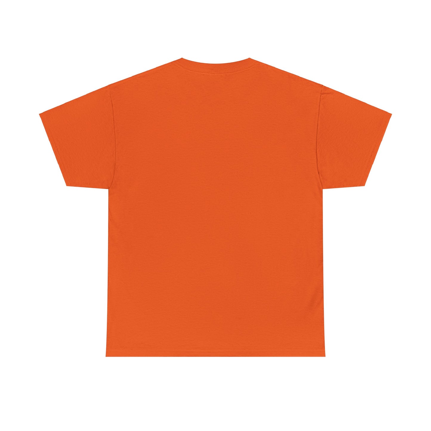 KNOXVILLE TENNESSEE BASKETBALL TEDDY T-SHIRT