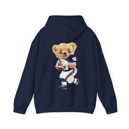 CHICAGO TEDDY HOODIE