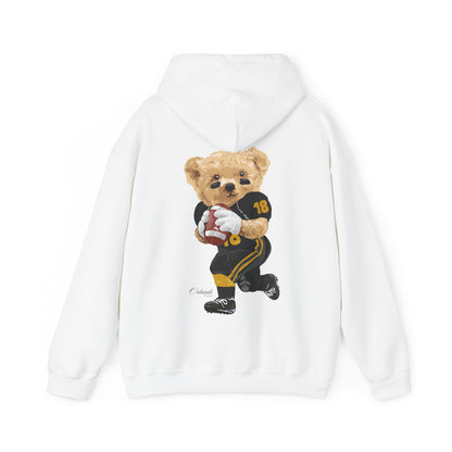 ORLANDO FLORIDA TEDDY HOODIE