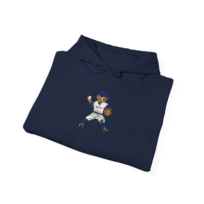 BOSTON BASEBALL TEDDY HOODIE
