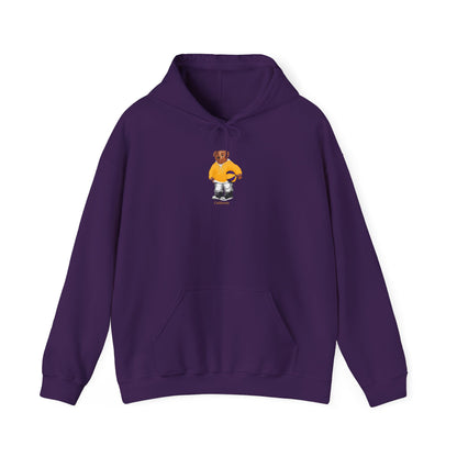 LOS ANGELES CALIFORNIA BASKETBALL TEDDY HOODIE