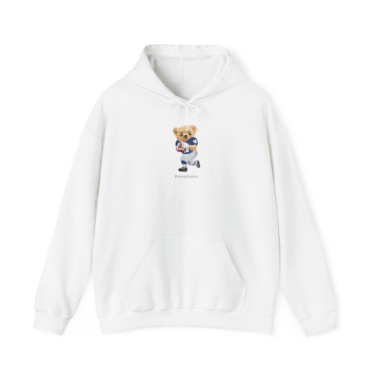 STATE COLLEGE PENNSYLVANIA TEDDY HOODIE