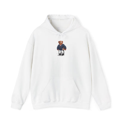 TUCSON ARIZONA TEDDY HOODIE