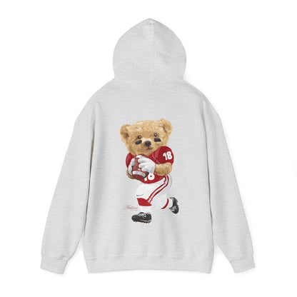 MADISON WISCONSIN TEDDY HOODIE