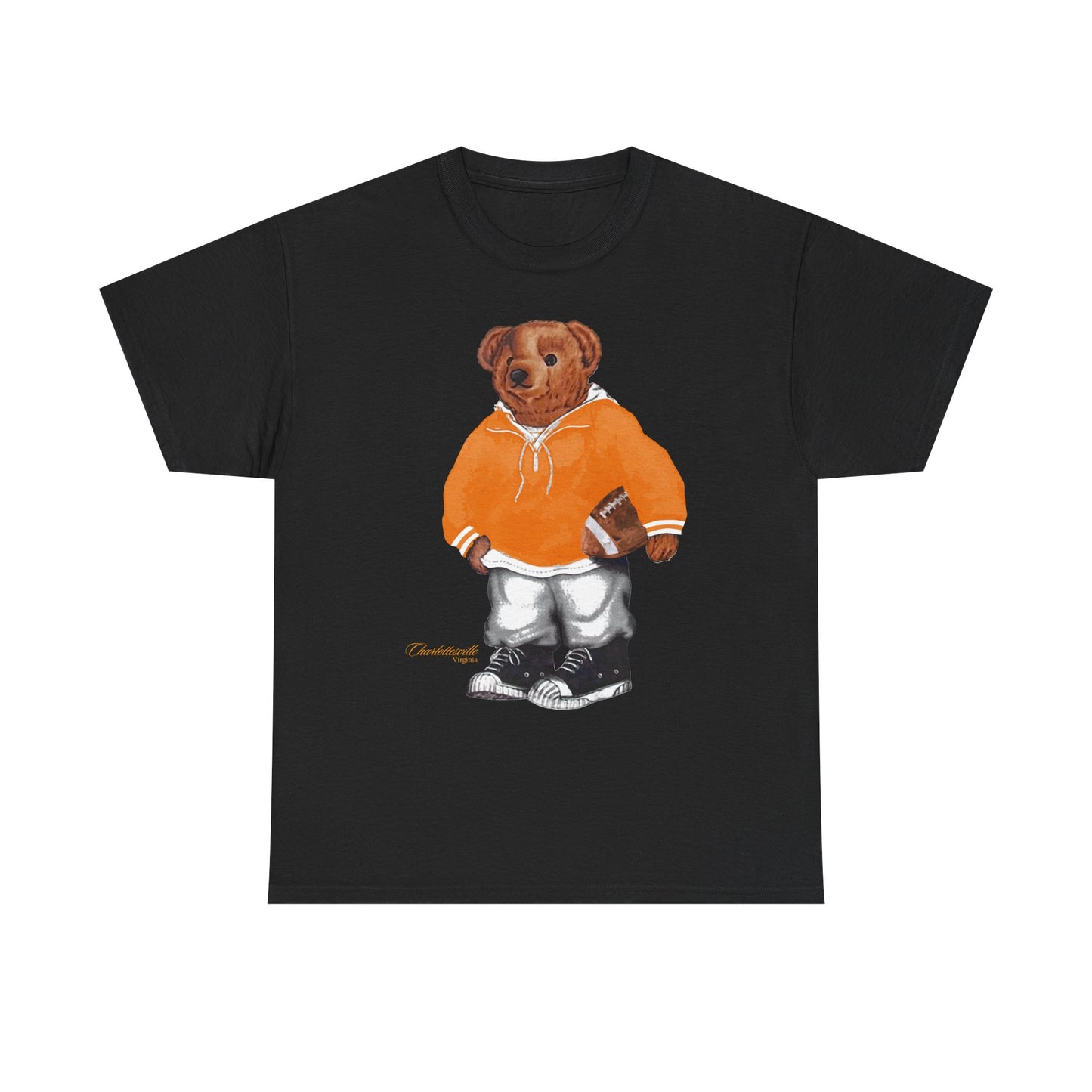 CHARLOTTESVILLE, VIRGINIA T-SHIRT