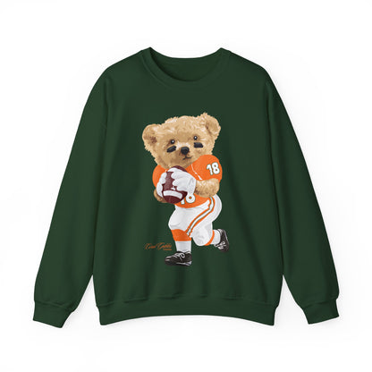 CORAL GABLES, FLORIDA TEDDY SWEATSHIRT