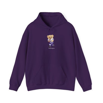 SEATTLE WASHINGTON TEDDY HOODIE