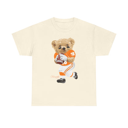 KNOXVILLE TENNESSEE TEDDY T-SHIRT