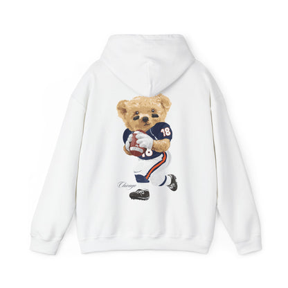 CHICAGO TEDDY HOODIE