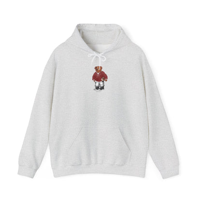 NORMAN, OKLAHOMA TEDDY HOODIE