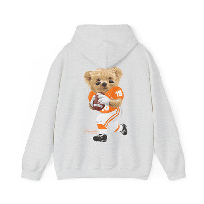 KNOXVILLE TENNESSEE TEDDY HOODIE