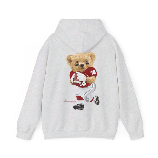 BLOOMINGTON INDIANA TEDDY HOODIE